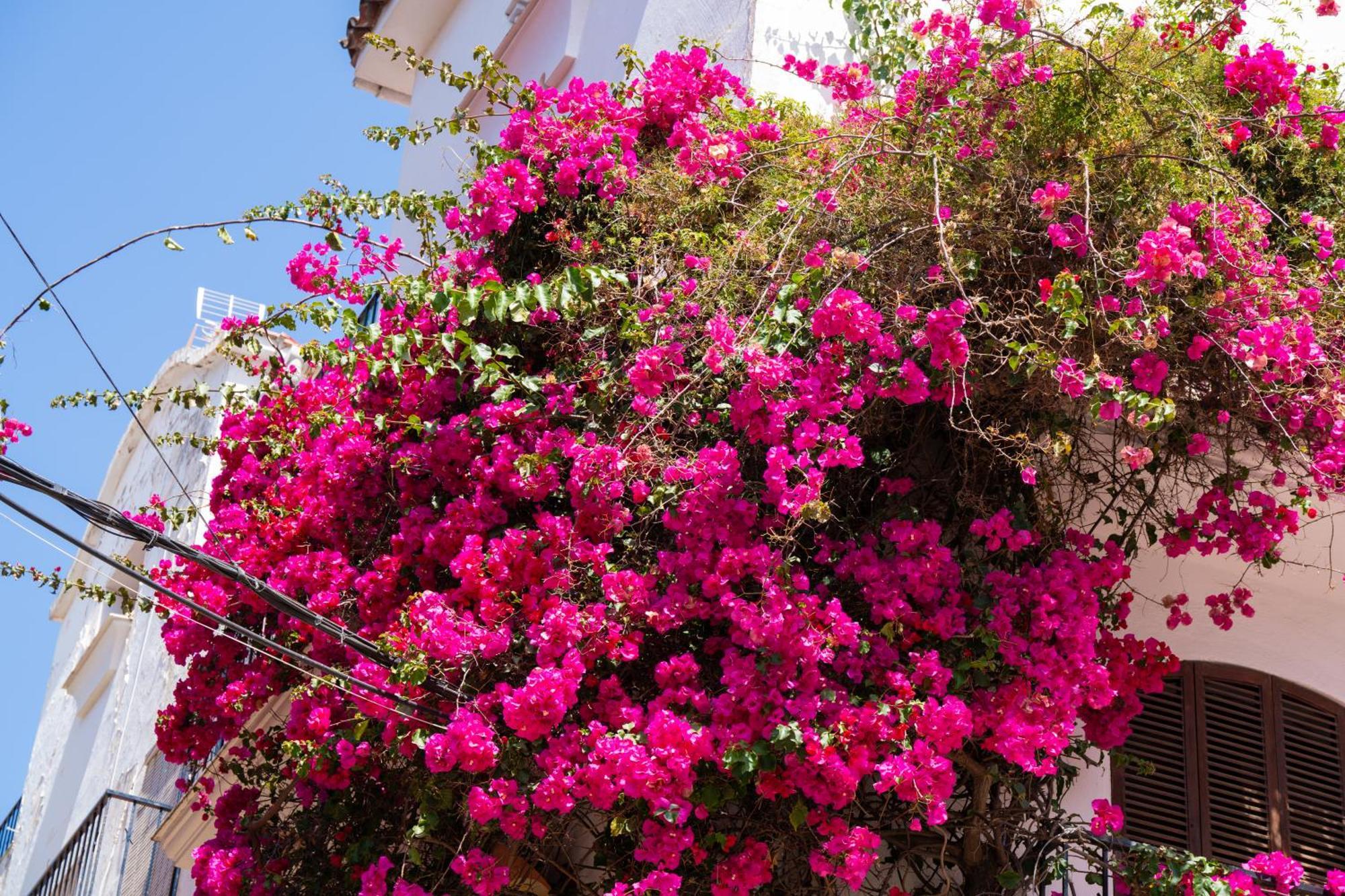 Jardines Del Mar 527 Daire Marbella Dış mekan fotoğraf