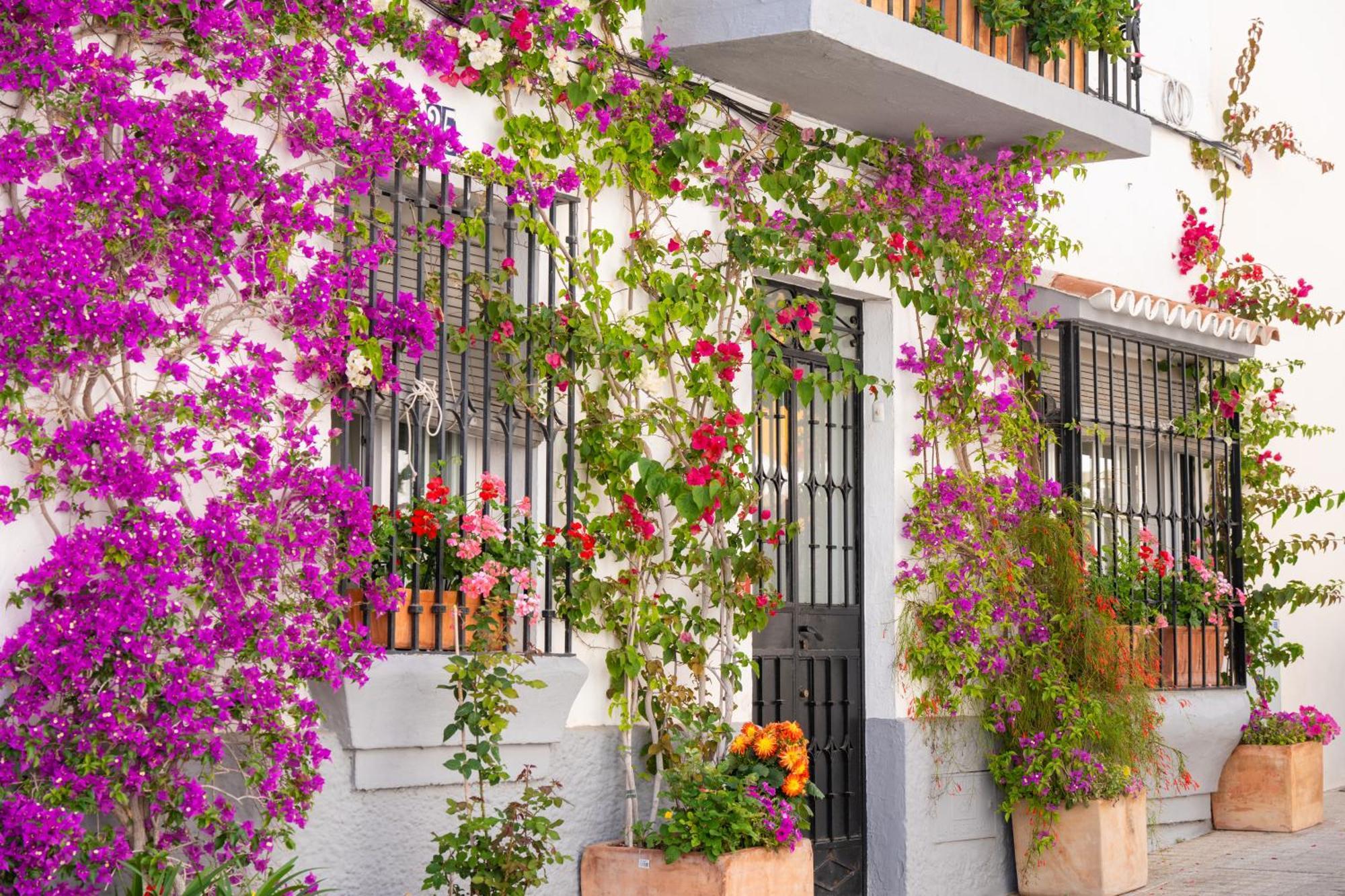 Jardines Del Mar 527 Daire Marbella Dış mekan fotoğraf